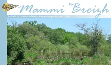 Couv Mammi' Breizh n°45