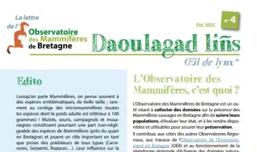 couv Daoulagad lins n°4