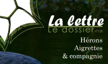 couv La lettre, Réserve naturelle de la baie de Saint-Brieuc n°128 - Hérons, Aigrettes & compagnie