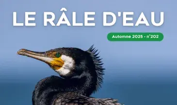 couv Le Râle d'eau n°202 - La protection de la nature en France