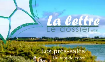 couv La lettre, Réserve naturelle de la baie de Saint-Brieuc n°131 - Les prés-salés un monde entre deux eaux