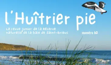 couv L'huîtrier pie n°59 - Les milieux dunaires