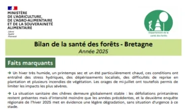 couv Bilan de la santé des forêts en Bretagne 2025