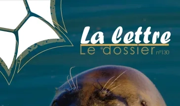couv La lettre, Réserve naturelle de la baie de Saint-Brieuc n°130 - Le phoque veau-marin