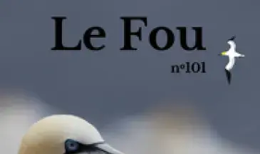 couv Le Fou - n°101