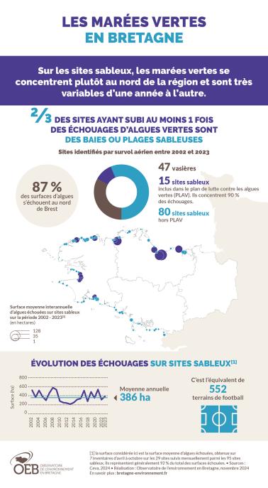 Infographie sur les algues vertes en Bretagne