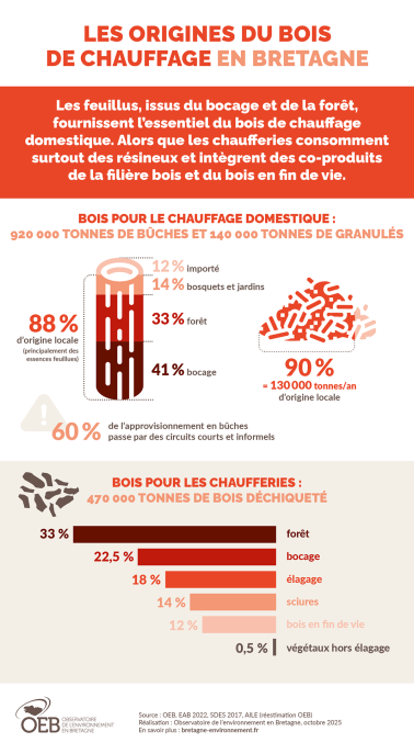 Infographie Les origines du bois de chauffage en Bretagne