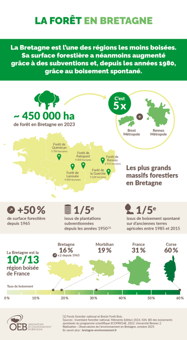 Infographie La forêt en Bretagne