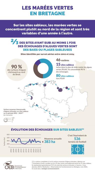 Infographie sur les algues vertes en Bretagne