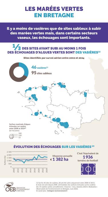 Infographie sur les marées vertes en Bretagne