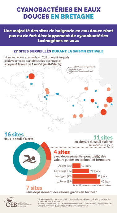 Infographie Cyanobactéries en eaux douces en Bretagne