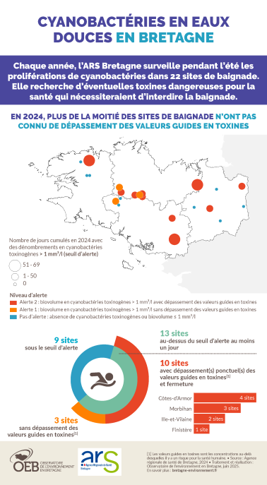 Infographie Cyanobactéries en eaux douces en Bretagne