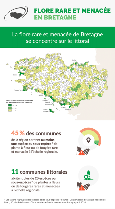 Infographie Flore rare et menacée en Bretagne