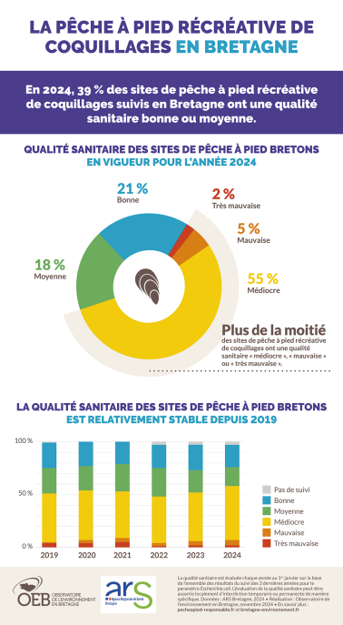 Infographie La pêche à pied récréative de coquillages en Bretagne - Qualité sanitaire