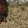 Photo épandage de lisiers sur sol agricole
