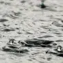 photo Pluie