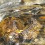 Photo Cours d'eau