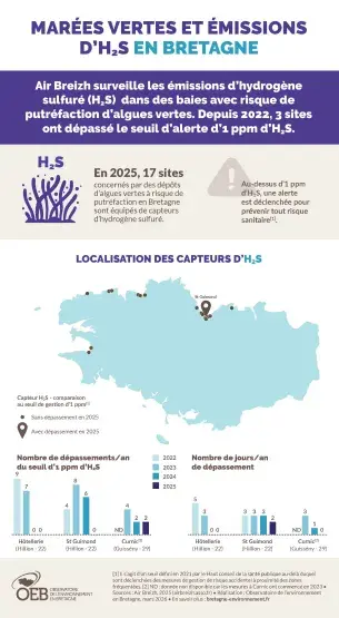 Infographie Marées vertes et émissions d'H2S en Bretagne