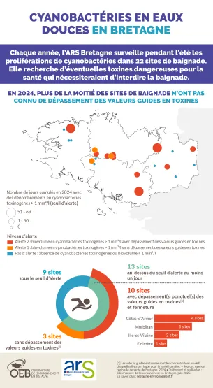 Infographie Cyanobactéries en eaux douces en Bretagne