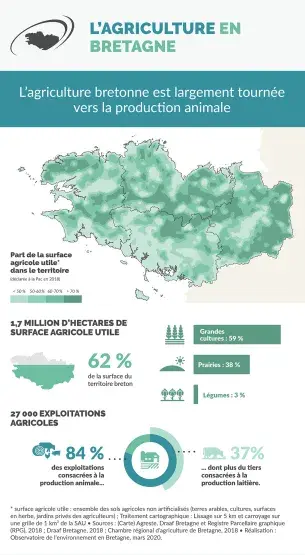 Infographie L'agriculture en Bretagne