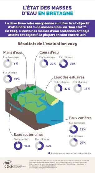 Infographie L'état des masses d'eau en Bretagne