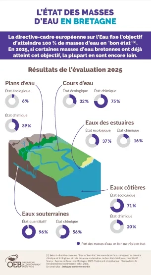 infographie état des masses d'eau en Bretagne