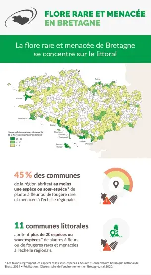 Infographie Flore rare et menacée en Bretagne