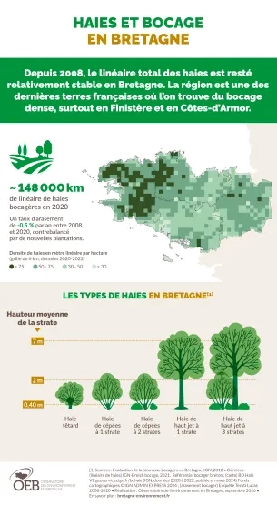 Infographie haies et bocage en bretagne
