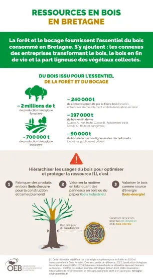 infographie ressources en bois en Bretagne