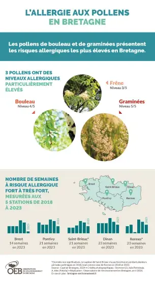 Infographie L'allergie aux pollens en Bretagne