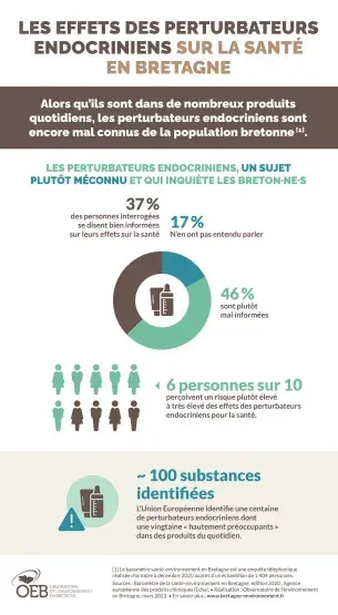 Infographie Les effets des perturbateurs endocriniens sur la santé en Bretagne