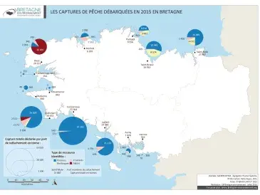 Captures pêche débarquées en Bretagne en 2015