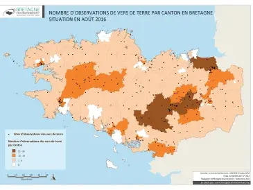 Nombre d'observations des vers de terre en 2016
