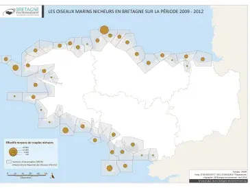 Les oiseaux marins nicheurs en Bretagne sur la période 2009 - 2012