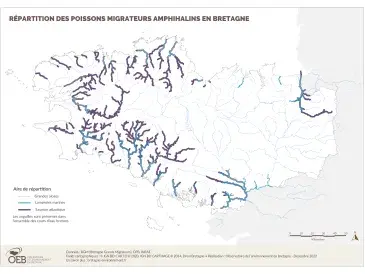 Répartition des poissons migrateurs amphihalins en Bretagne