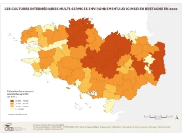 Les cultures intermédiaires multi-services environnementaux (CIMSE) en Bretagne en 2020