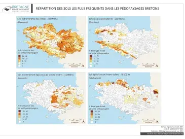 Sols les plus fréquents