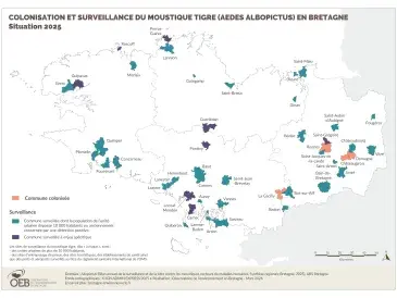 Surveillance du moustique tigre (Aedes Albopictus) en Bretagne - Situation 2025