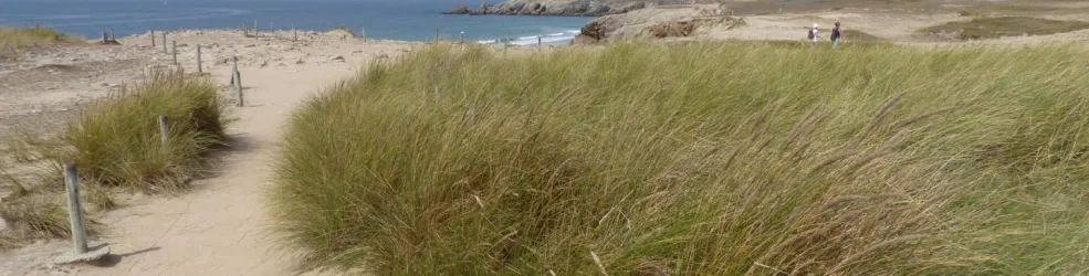 Photo dunes sauvages de Gâvres à Quiberon