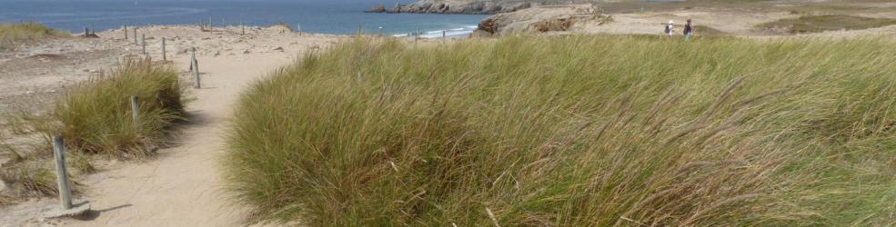 Photo dunes sauvages de Gâvres à Quiberon