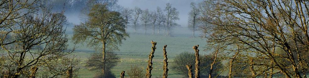 Photo bocage