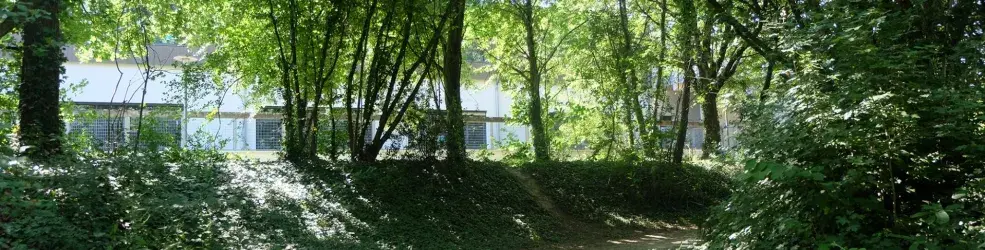 Photo nature en ville