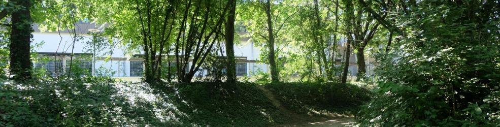Photo nature en ville