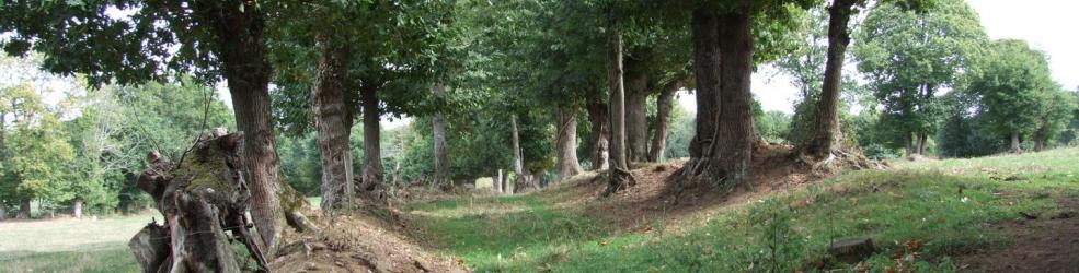 Photo bocage