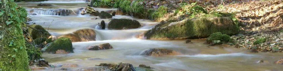 Cours d'eau