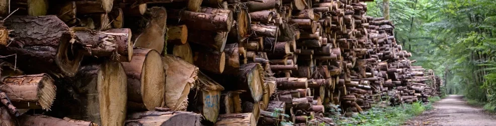 Exploitation de bois forestier