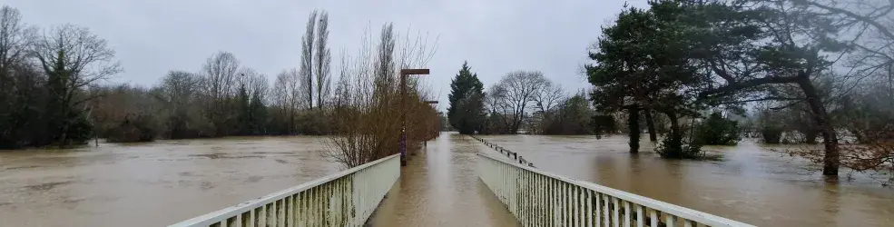 Inondation des prairies Saint-Martin à Rennes en janvier 2025