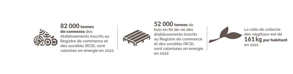 Connexes de scierie, bois en fin de vie et bois de végétaux