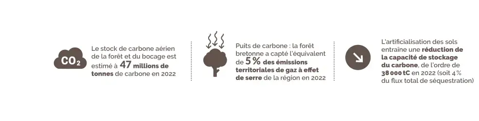 biomasse_banniere_enjeux_envi_bois