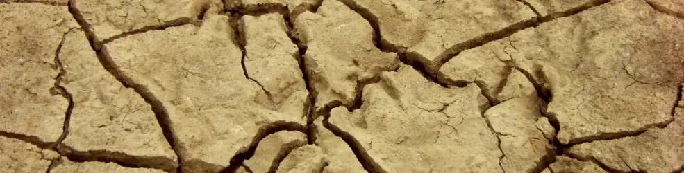 Sol fissuré argileux